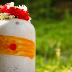 6217061869_c931b3f6d9_b