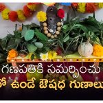 Ganapatiki samarpinchu ayushadam gunalu