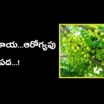 Otaheite_gooseberry-300×225-1