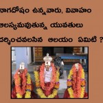 Utsav_Idols_of_Sri_Sakaleshwara_Swamy