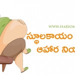 diet control for obesity