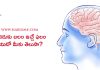 మెదడుకు బలం ఇచ్చే ఫలం ఏమిటో మీకు తెలుసా ?