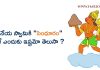 ఆంజనేయ స్వామికి “సింధూరం” అంటే ఎందుకు ఇష్టమో తెలుసా ? | Why Anjaneya Swamy Likes Sindhuram in Telugu?