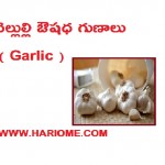 garlic-545223_640-300×193