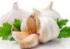 వెల్లుల్లి లోని ఔషధ గుణాలు మీకు తెలుసా? | Garlic Health Benefits in Telugu
