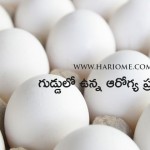 health-benefits-of-egg