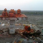 10151906_631326503636380_5276052725866860201_n