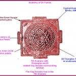 11988443_1635280920055694_4164538235982803412_n