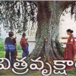 12193795_1624918544423975_7319859628682071596_n