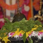 12219460_1627407364175093_2838063040170603996_n