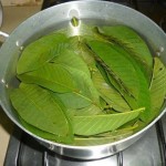 12241580_1112272488804007_500328661882562893_n