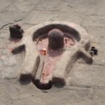 12249784_1626735074242322_5414156927921449005_n