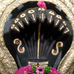 12249924_1626927400889756_2483323457678198338_n