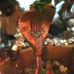 12250134_1626735084242321_3647499171677473851_n