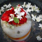 6217061925_a677c2521a_o