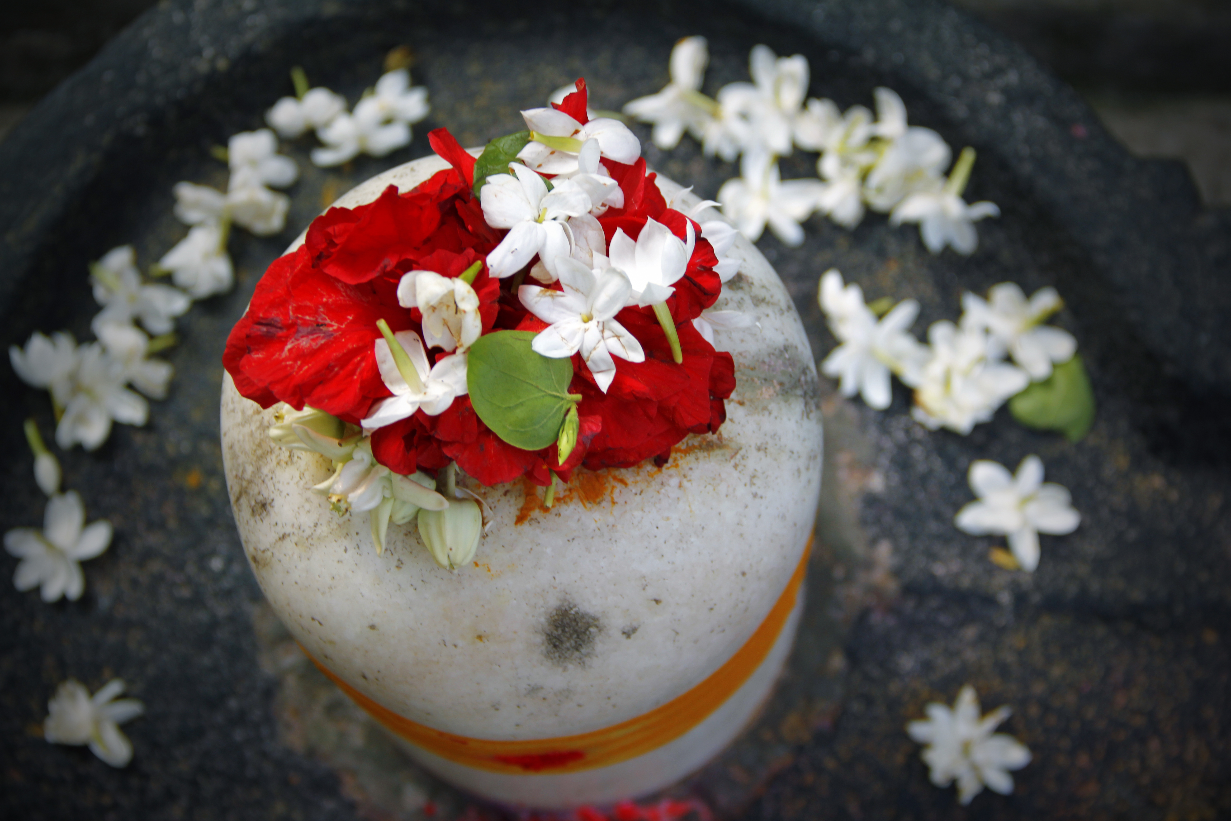 Flower pooja for Lord Shiva