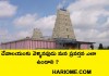 దేవాలయం కు వెళ్ళినపుడు మన ప్రవర్తన ఎలా ఉండాలి ? | How to behave when we visit temples in Telugu?