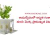 అద్భుత గుణాల తులసి | Tulasi Plant Importance in Telugu