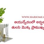 importance-of-tulsi-plant-in-ayurvedic-medicine