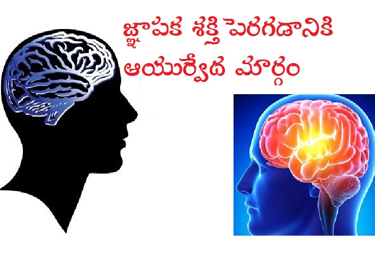 Ayurvedic Tips to Increase Memory Power in Telugu