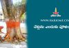 చెట్లను ఎందుకు పూజించాలి? | Why Should We Worship Tree in Telugu