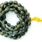 10570454_1502028296686438_3079787271800274395_n