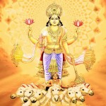 11915762_1487686588191577_7718169664565277173_n