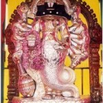 12316605_196690137336634_6828322023168966222_n