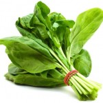 15495_768459129870299_6658706474968820144_n