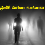 2000px-The_death.svg_