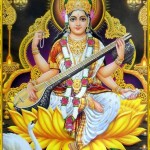 423834_10151282086650375_215886190374_22604947_961825774_n