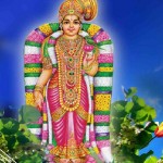 478244_428546537211368_251641699_o