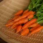 Baby_Carrots_2