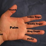 Hand_parts