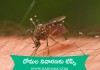 దోమల నివారణకు టిప్స్ | How to Control Mosquito in Telugu