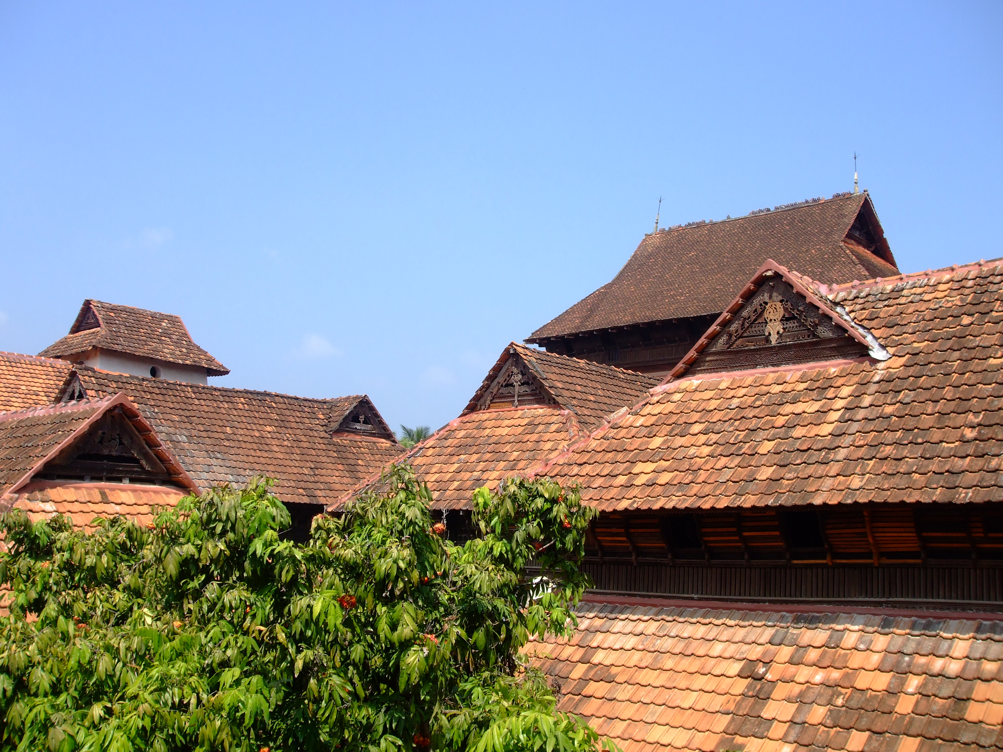 Easy Ways to Overcome Vastu Dosh
