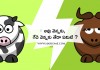 ఆవు వెన్నకు, గేదె వెన్నకు తేడా ఏమిటి ? | Which Butter is better cow or buffalo ?