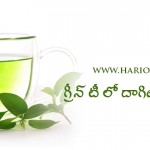 facts-in-drinking-green-tea