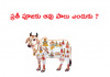 ప్రతీ పూజకు ఆవు పాలు ఎందుకు ? | Why we Should Use Cow Milk for Pooja in Telugu