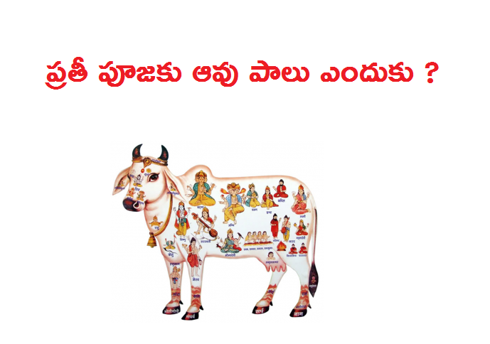 Why we Should Use Cow Milk for Pooja