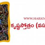 krishna stotram