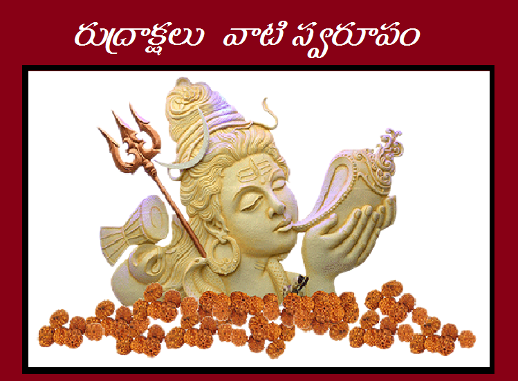 loard-shiva-jyotirlinga2