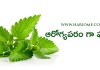 ఆరోగ్యపరం గా పుదీనా | Health Benefits of Mint Leaf in Telugu