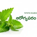 mint for health