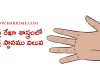 హస్త రేఖా శాస్త్రంలో శుక్ర స్ధానము విలువ | Hasta Rekha Sastram Telugu