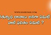 చతుర్విధ దానాలు అనగా ఏమిటి ?వాటి ఫలితం ఏమిటి ? | What are four types of dhanas in Telugu