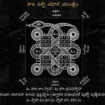 10478354_803509033050588_7095203096380242111_n (1)