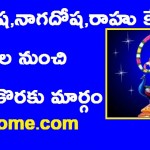 10665078_1517864815173754_3958807093434758112_n-300×240