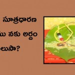 10689758_1493519830936085_5054476994153830946_n