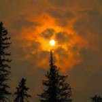 12647439_1137682692922803_1897117046905190304_n